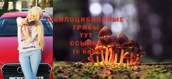 ALPHA-PVP Алексин